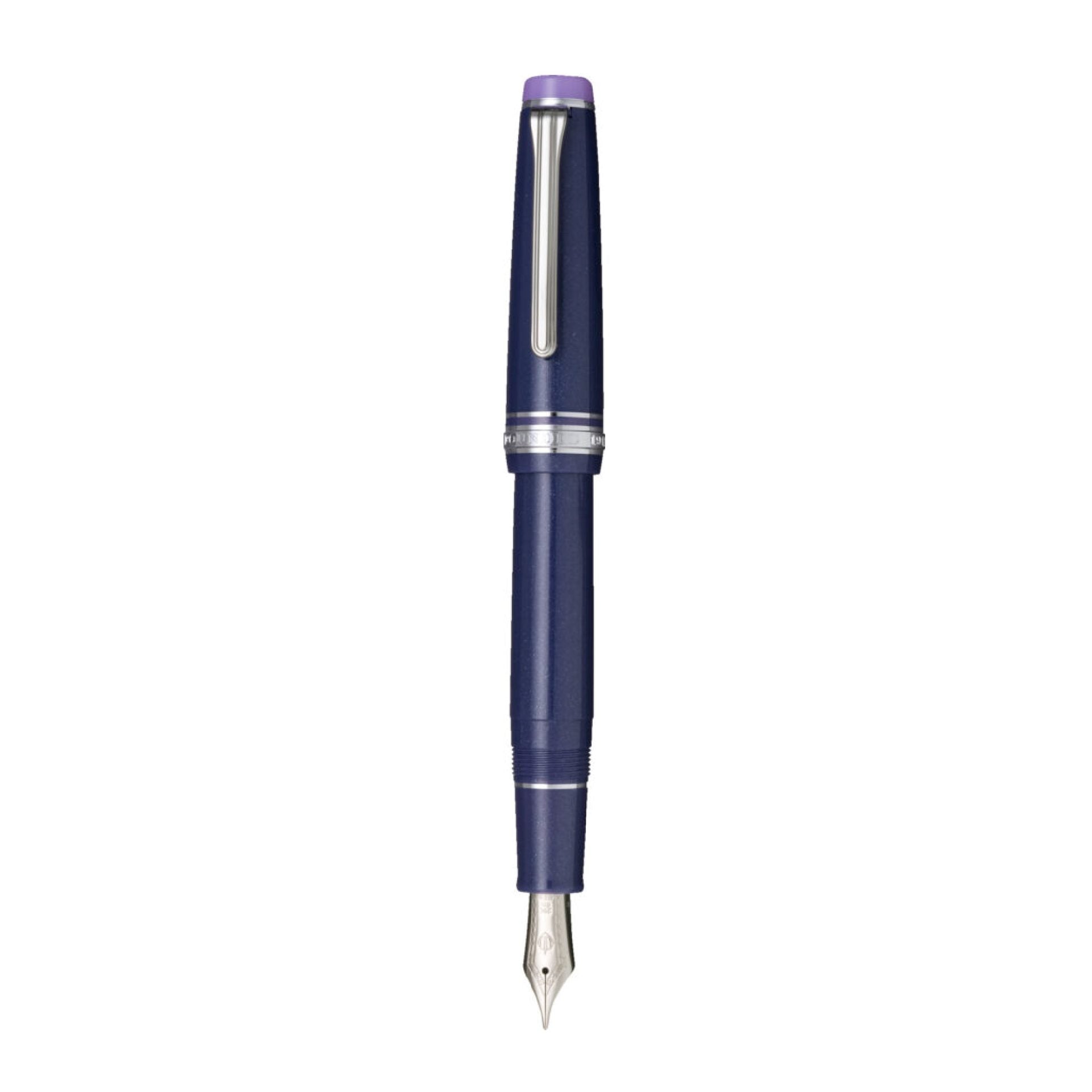 ProfessionalGear 'Storm Over the Ocean' Fountain Pen
