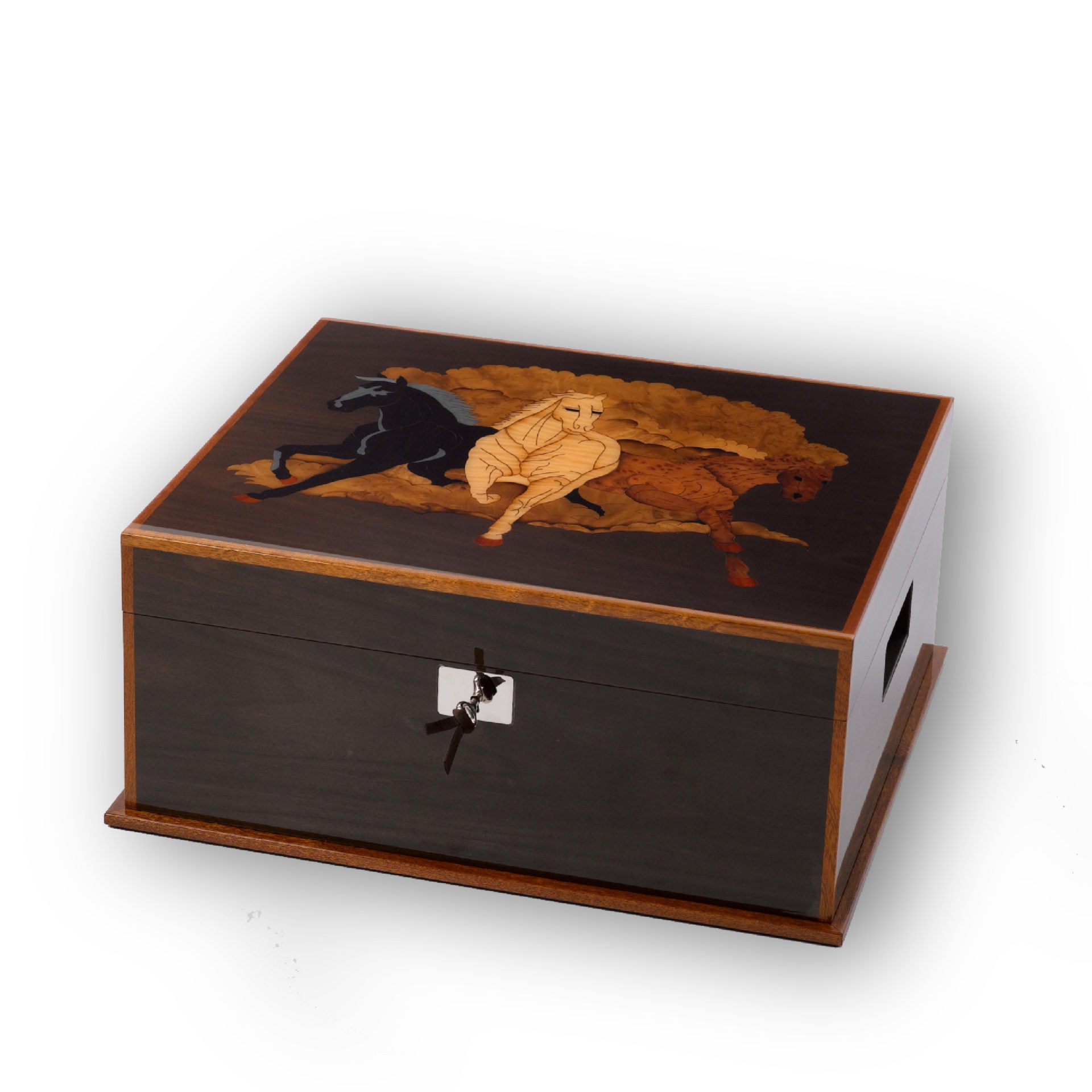 NALDI-ITALY Luxury Pen Box for 79 Pens Crazy Horses