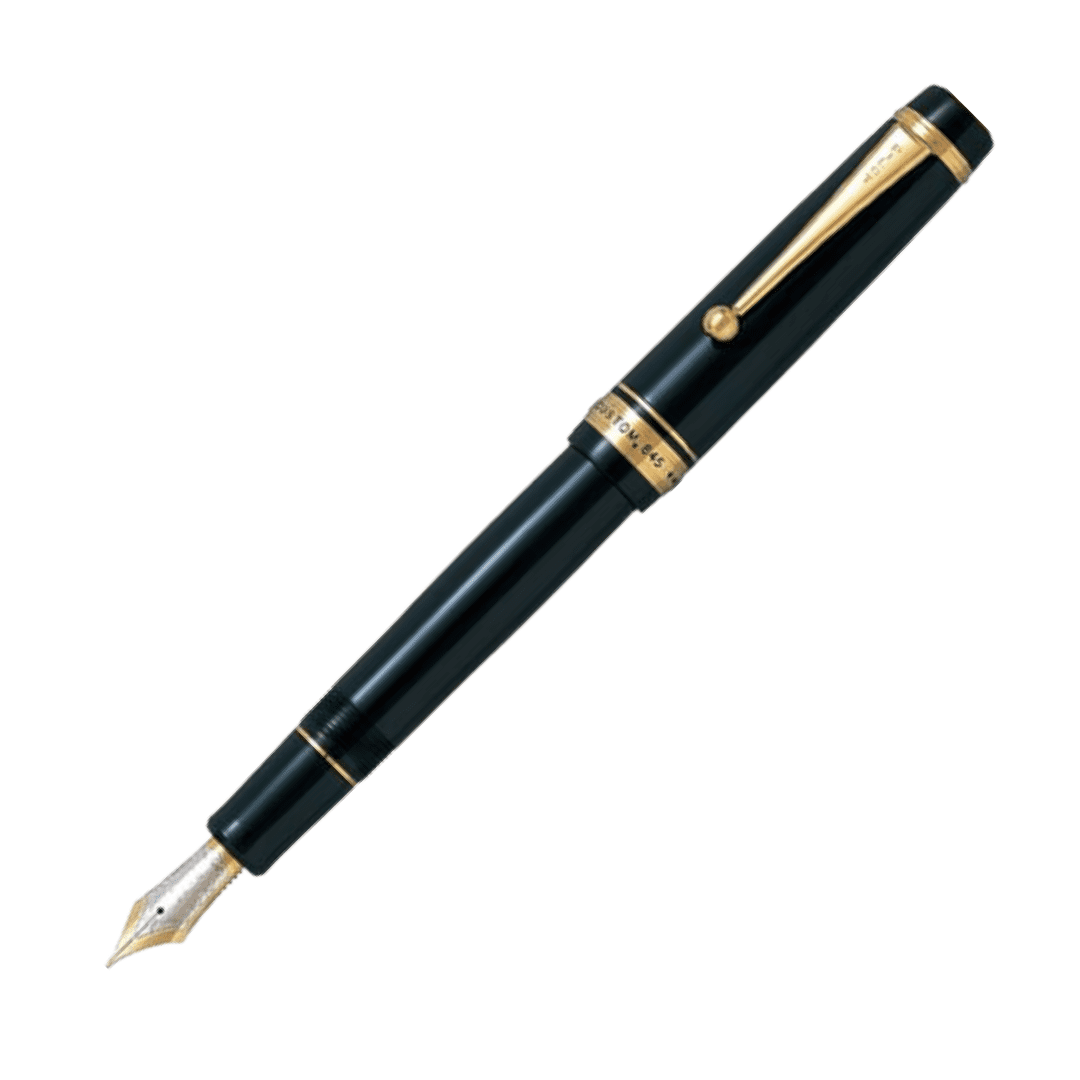 Custom 845 Black Special Edition Fountain Pen