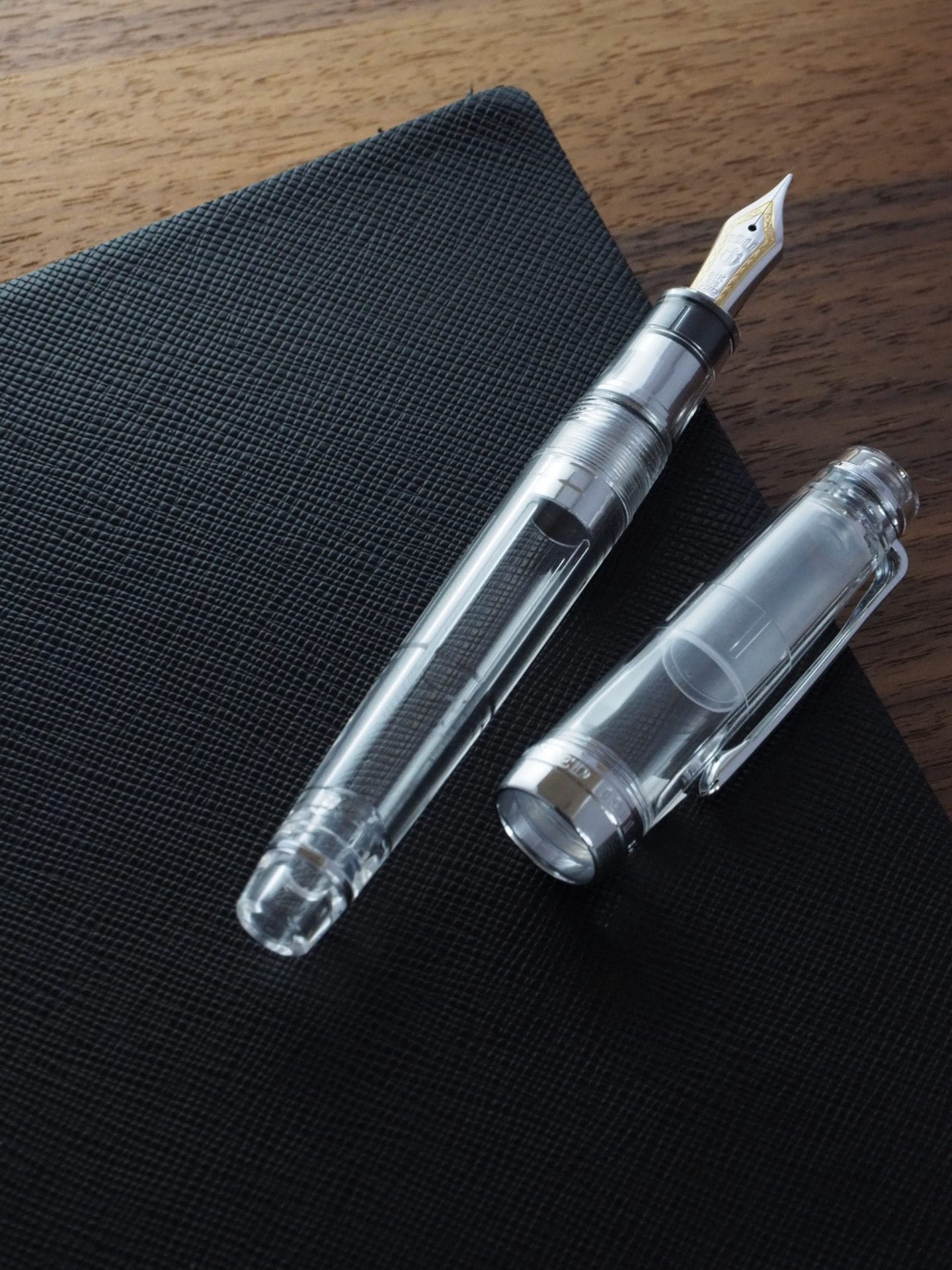 ProfessionalGear Demonstrator Fountain Pen