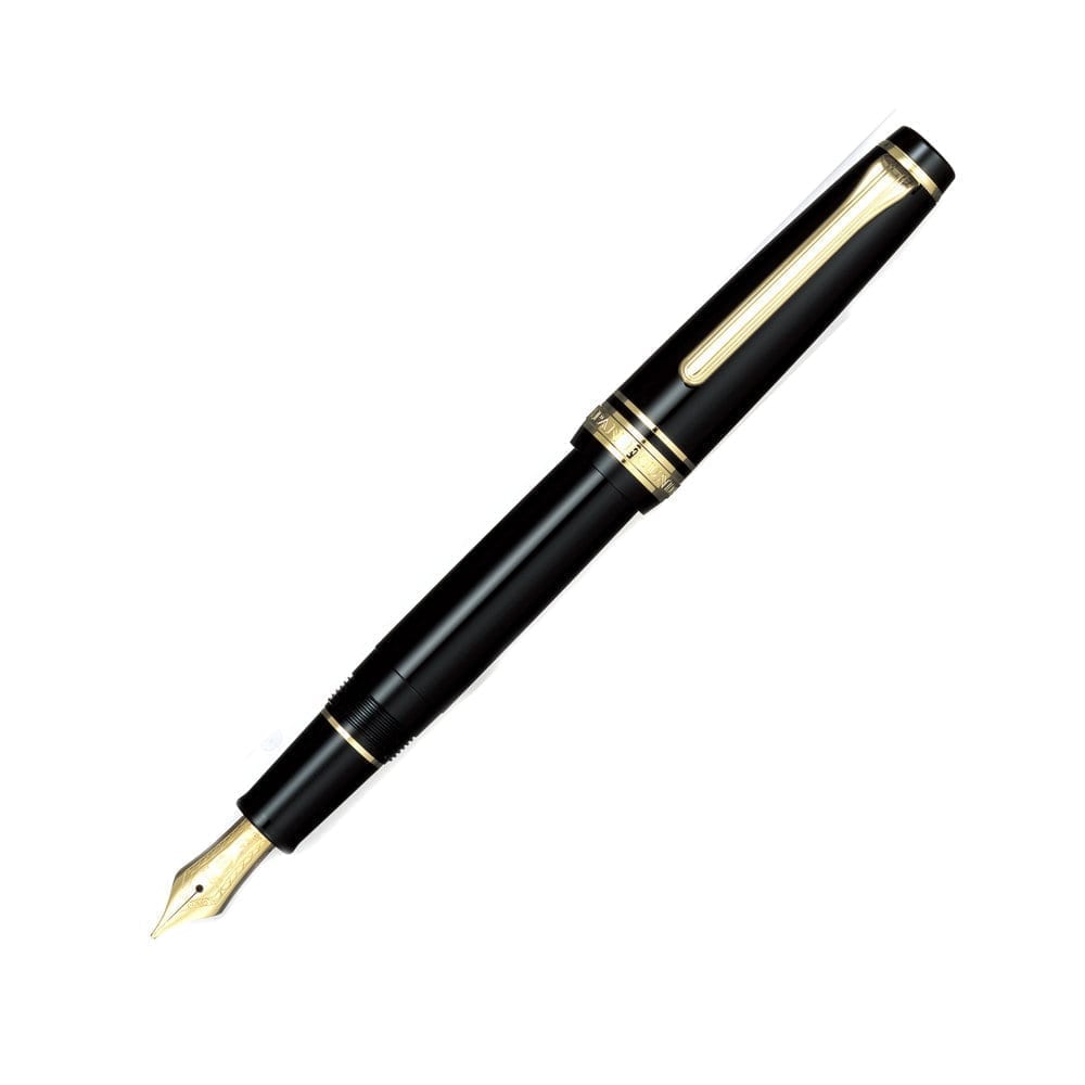 ProfessionalGear Slim Gold Trim Black Fountain Pen
