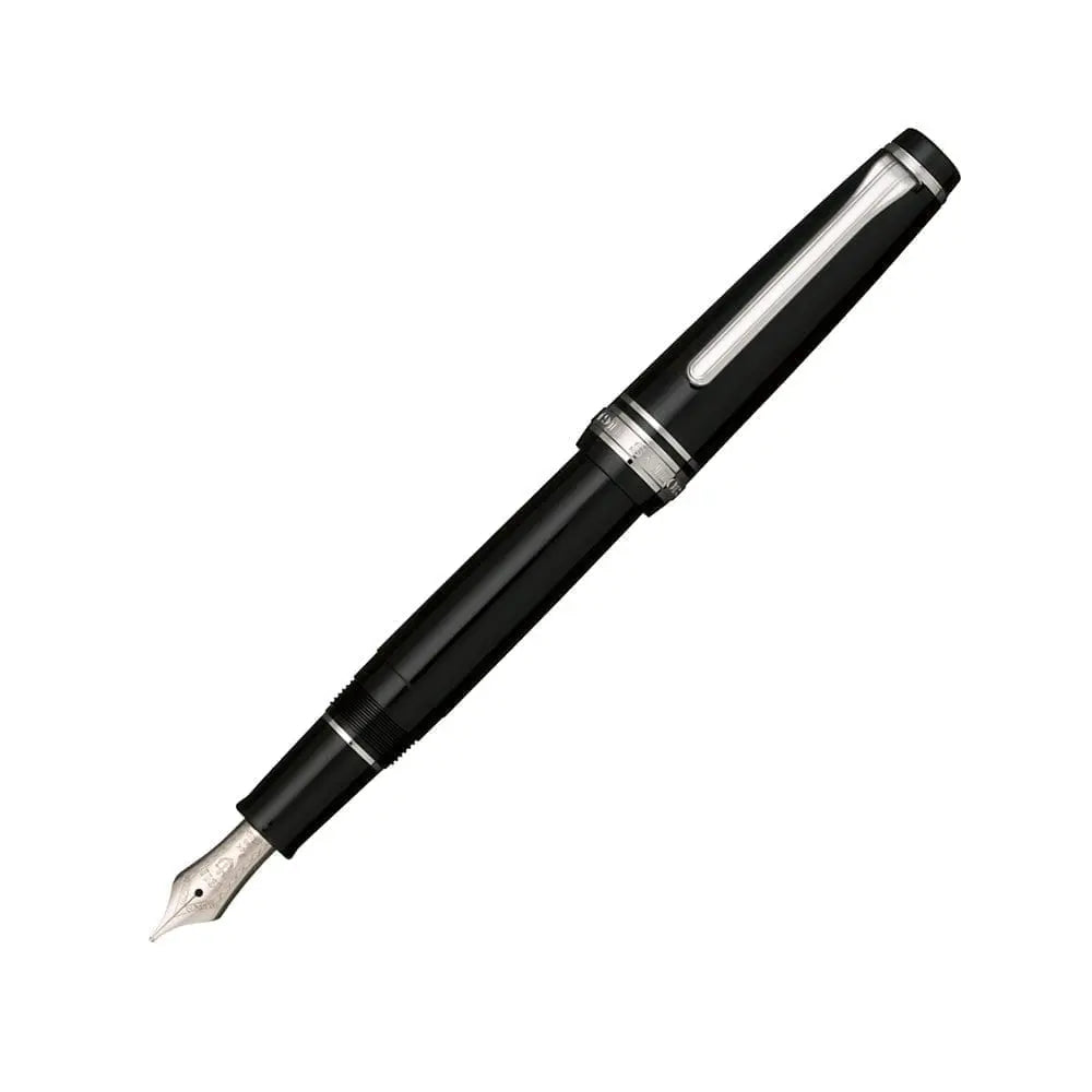 ProfessionalGear Slim Silver Trim Black Fountain Pen
