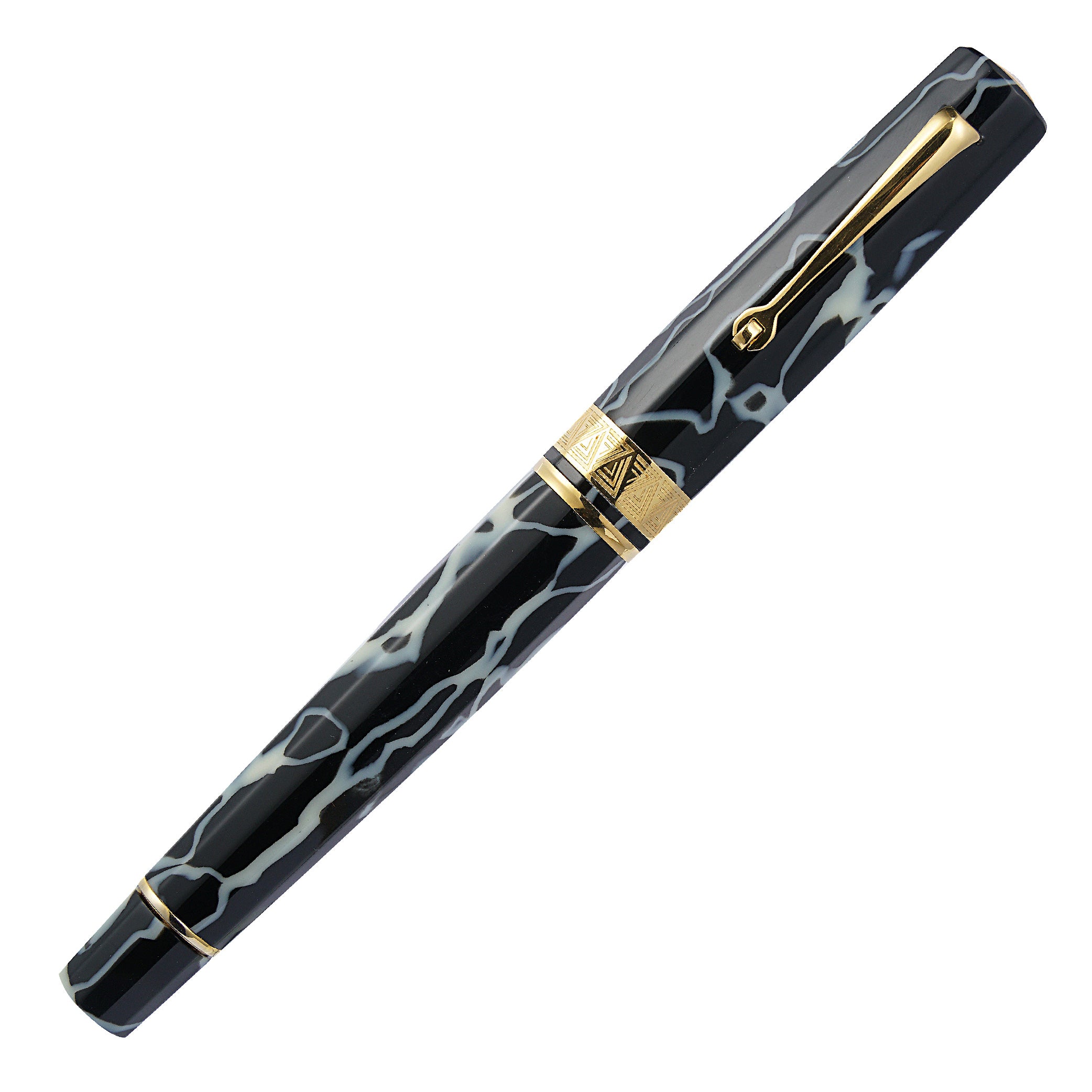 OMAS Paragon Wild Gold Trim Fountain Pen