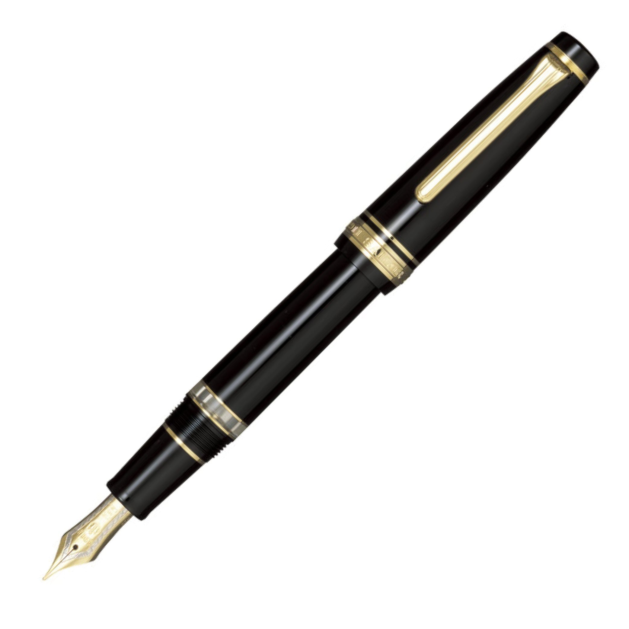 Professionalgear 'Realo' Gold Trim Black Fountain Pen